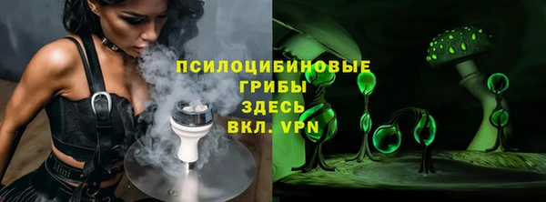 прущие грибы Абаза
