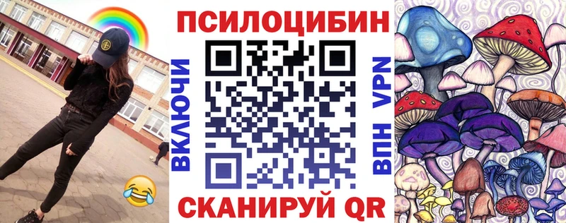 Псилоцибиновые грибы Cubensis  купить наркоту  Железноводск 