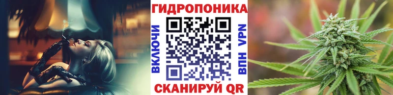 Конопля план купить цена кракен онион Железноводск